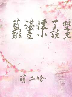 蓝湛怀了双胞胎难产小说免费阅读全