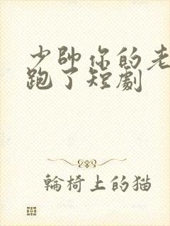 少帅你的老婆又跑了短剧