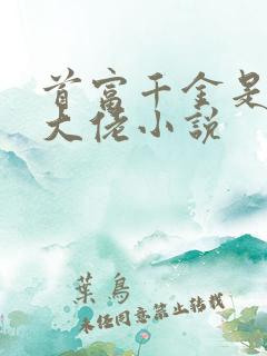 首富千金是科研大佬小说