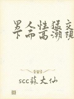 男人性猛交女人下面高潮视频