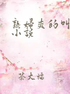 熟妇爽的叫爸爸小说