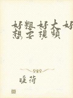 好粗好大好爽好想要视频