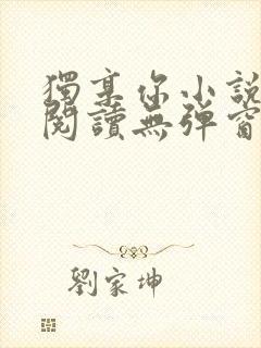 独享你小说免费阅读无弹窗