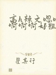 高h辣文嗯嗯嗯啊啊啊好粗np