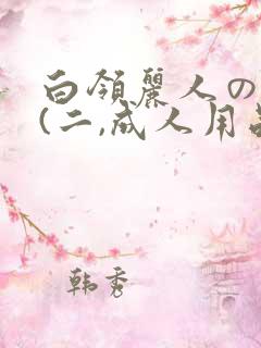 白领丽人の调教(二,成人用品店3p