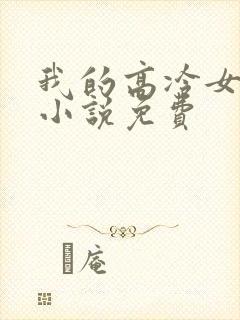 我的高冷女总裁小说免费