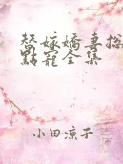 替嫁娇妻总裁轻点宠全集