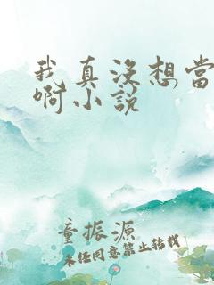 我真没想当皇帝啊小说