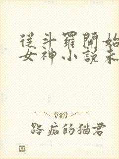 从斗罗开始俘获女神小说未删版下载txt