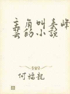 主角叫秦峰胡佳芸的小说