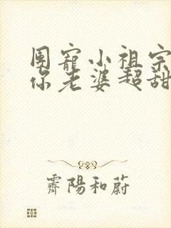 团宠小祖宗大叔你老婆超甜