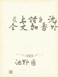 《上错》沈南初全文加番外