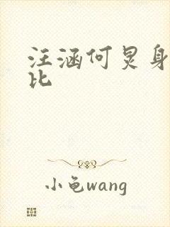 汪涵何炅身高对比