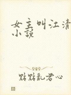 女主叫江清婉的小说