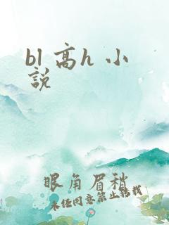 bl 高h 小说