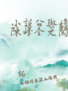 小说公与媳瑶瑶陈峰全文阅读