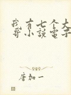 我有七个大佬哥哥小说电子版txt