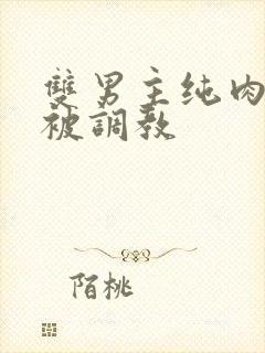 双男主纯肉小说被调教