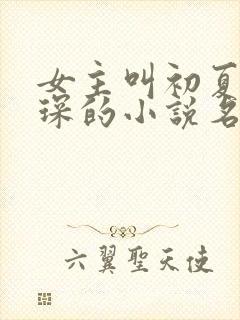 女主叫初夏顾霆琛的小说名字