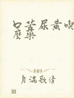 口苦尿黄吃点什么药