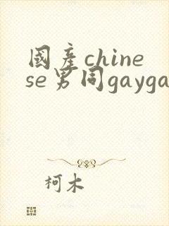 国产chinese男同gaygay网站