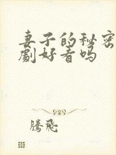 妻子的秘密电视剧好看吗