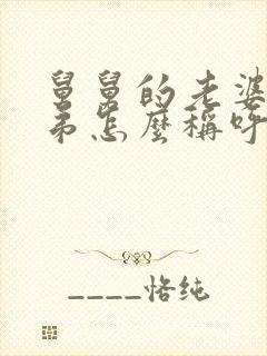 舅舅的老婆的弟弟怎么称呼