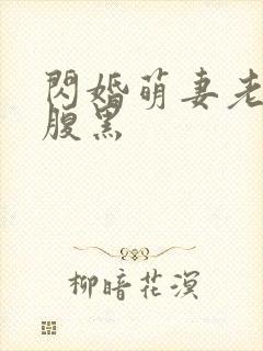 闪婚萌妻老公太腹黑