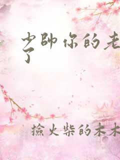 少帅你的老婆跑了