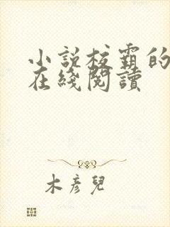 小说校霸的温柔在线阅读