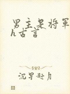 男主是将军的高h古言