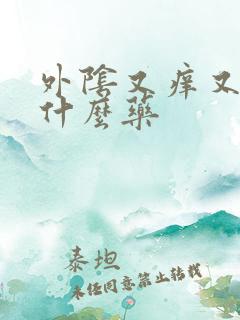 外阴又痒又痛用什么药