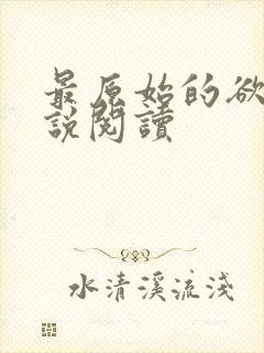 最原始的欲望小说阅读