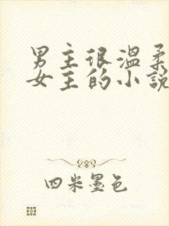 男主很温柔很爱女主的小说