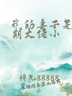 我的妻子是大乘期大佬小