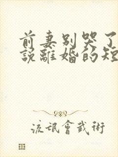 前妻别哭了是你说离婚的短片