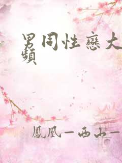 男同性恋大鸡视频