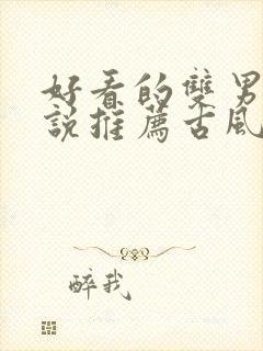 好看的双男主小说推荐古风