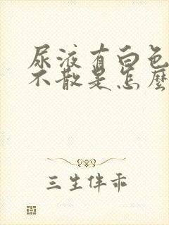 尿液有白色泡沫不散是怎么回事