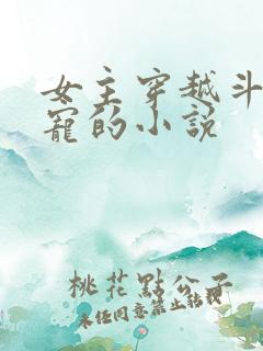 女主穿越斗罗甜宠的小说