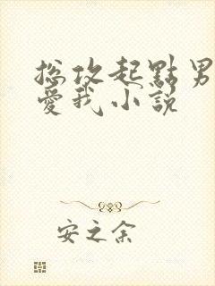 总攻起点男主都爱我小说