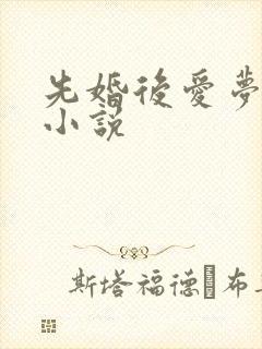 先婚后爱梦筱二小说