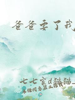 爸爸要了我小说