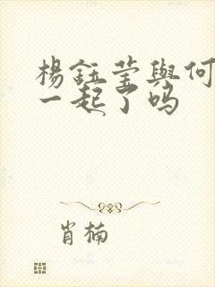 杨钰莹与何炅在一起了吗