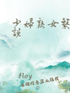 少妇熟女系列小说