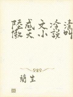 陆成文冷清秋龙傲天小说叫什么名字