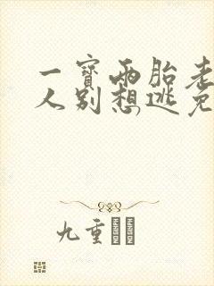 一宝两胎老婆大人别想逃免费阅读