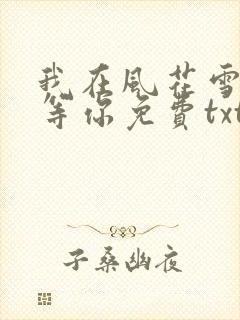我在风花雪月里等你免费txt下载