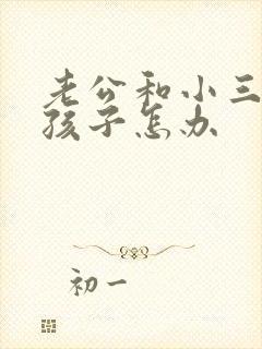 老公和小三生了孩子怎办