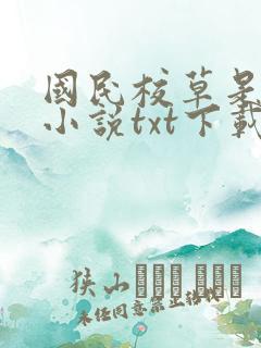 国民校草是女生小说txt下载